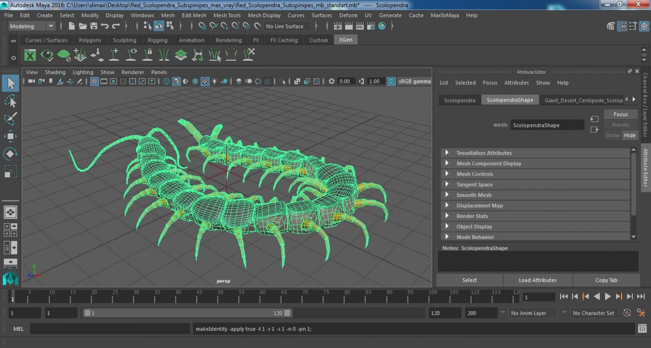 Red Scolopendra Subspinipes 3D