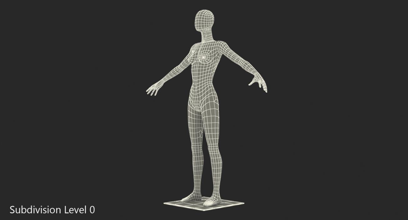 3D Female Mannequin T-Pose model