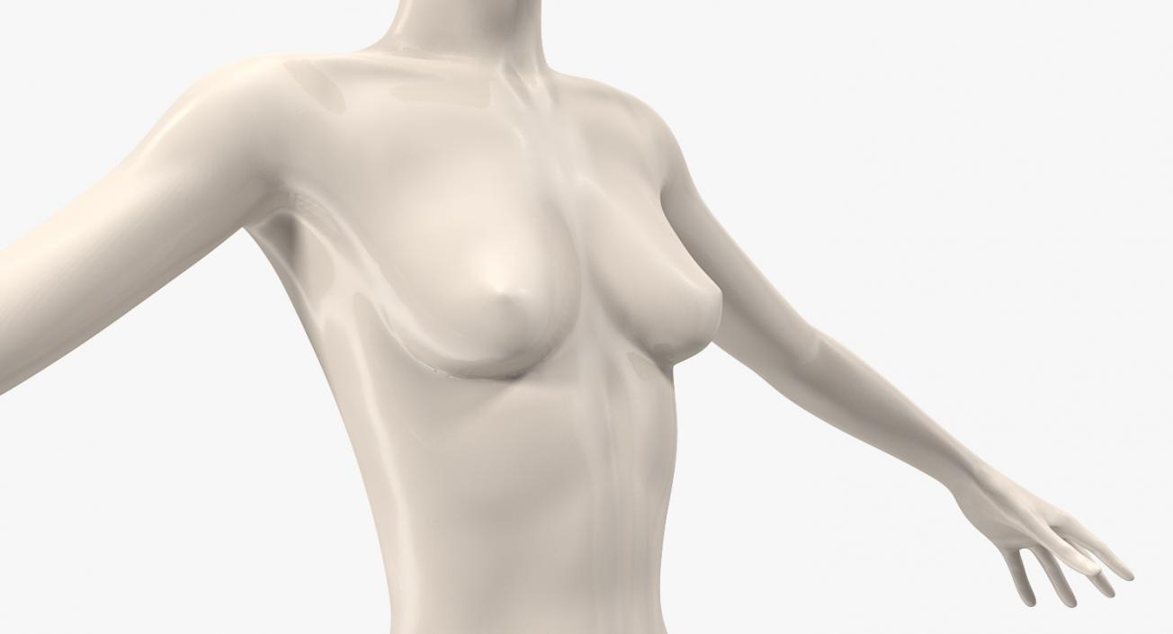 3D Female Mannequin T-Pose model