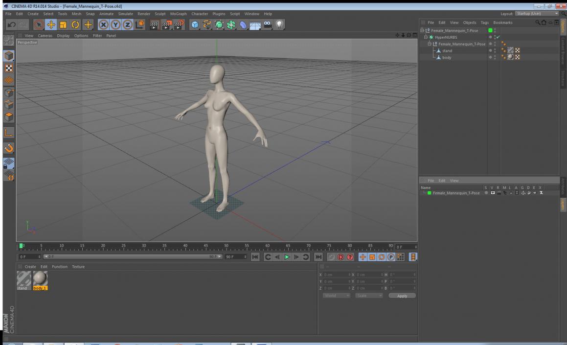 3D Female Mannequin T-Pose model