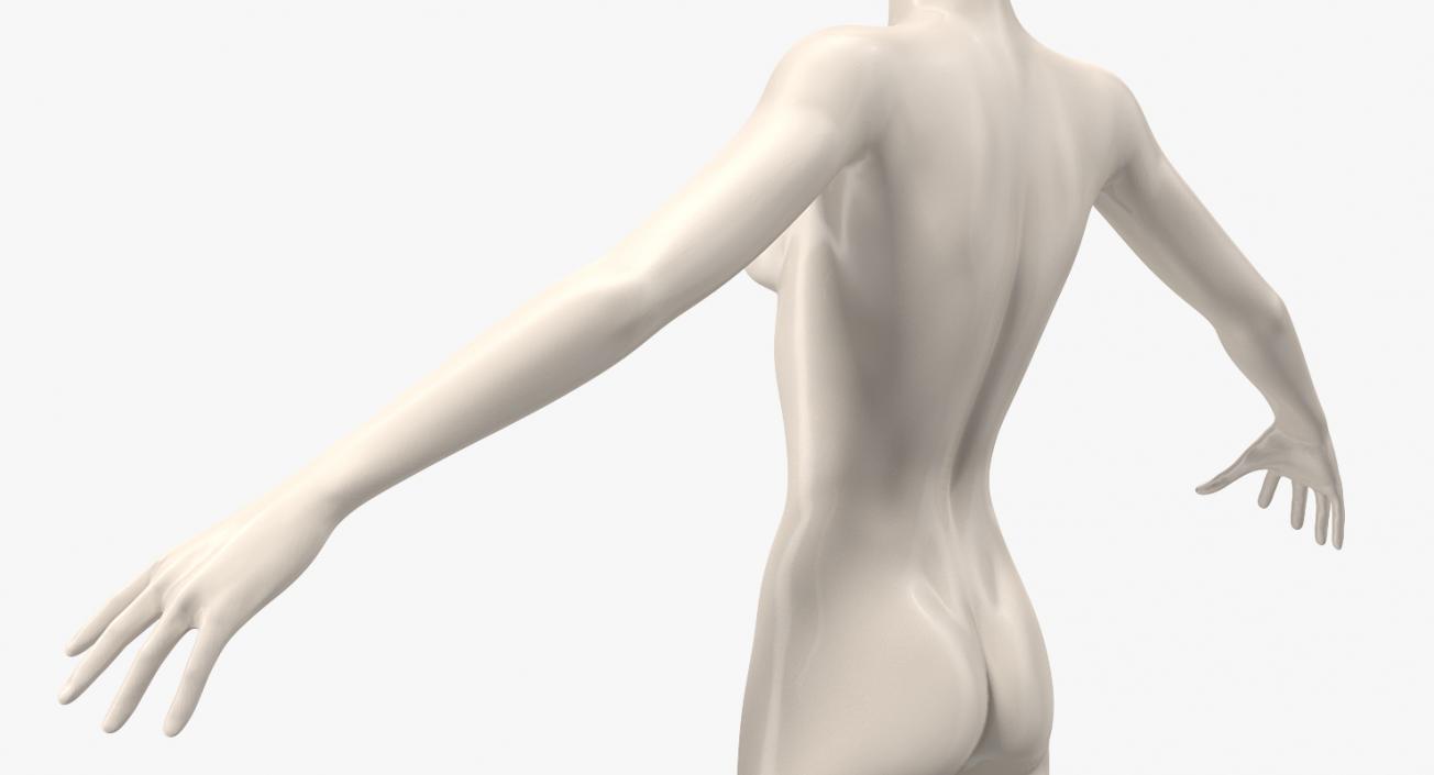 3D Female Mannequin T-Pose model