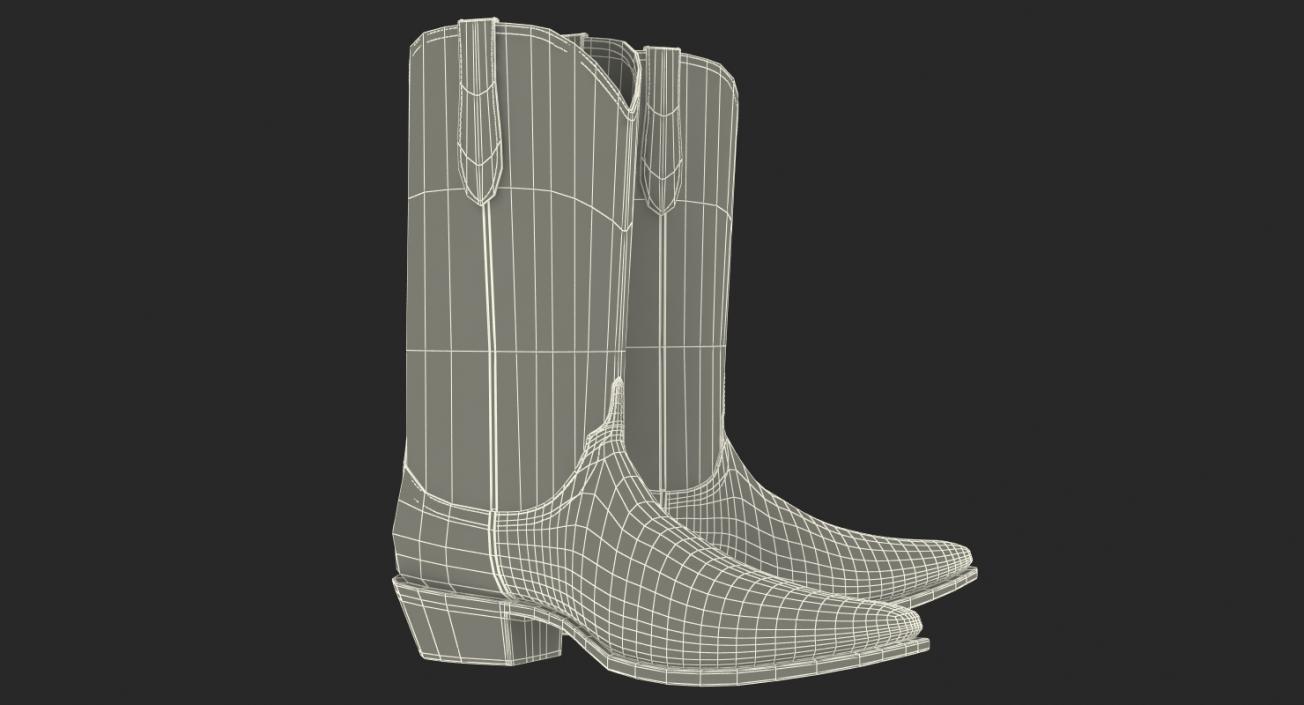 Crocodile Cowboy Boots 3D