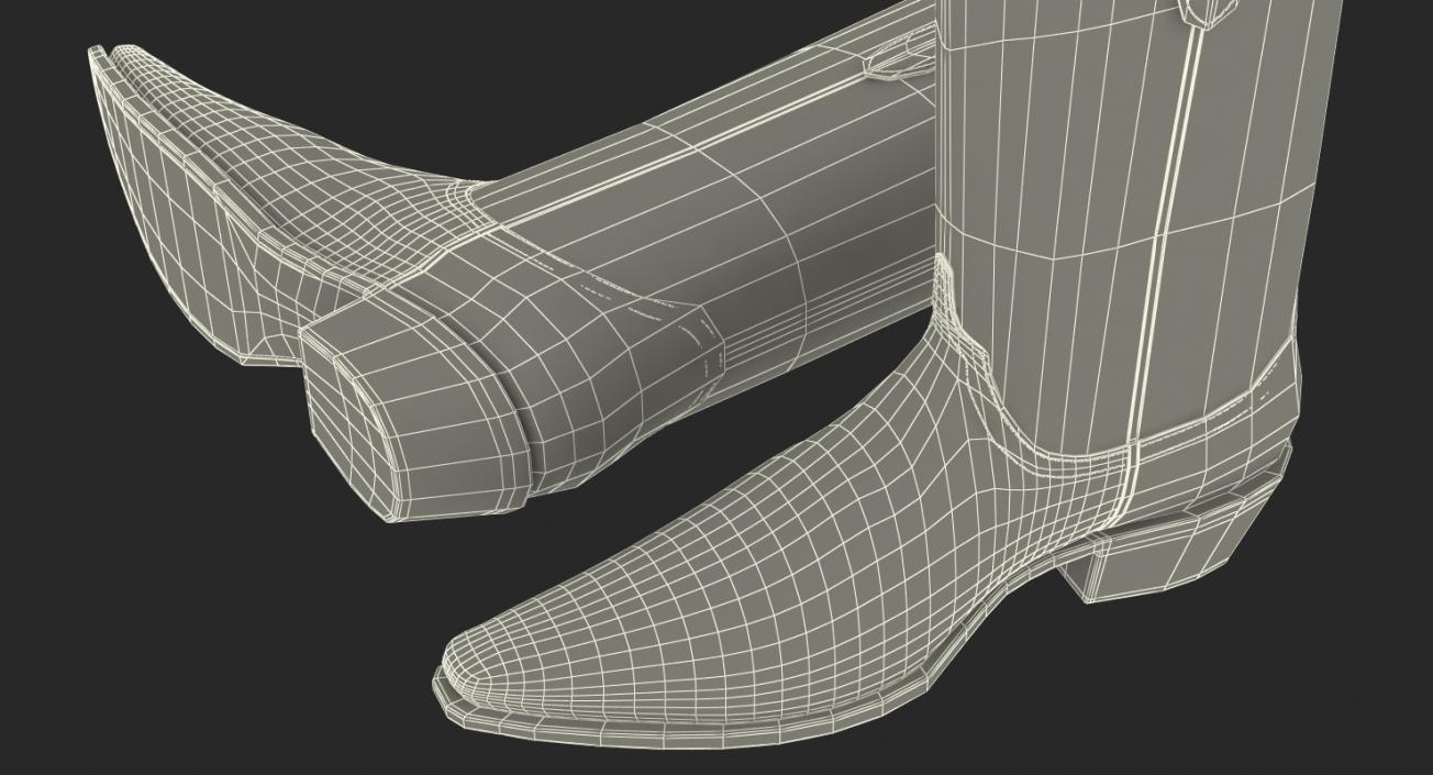 Crocodile Cowboy Boots 3D