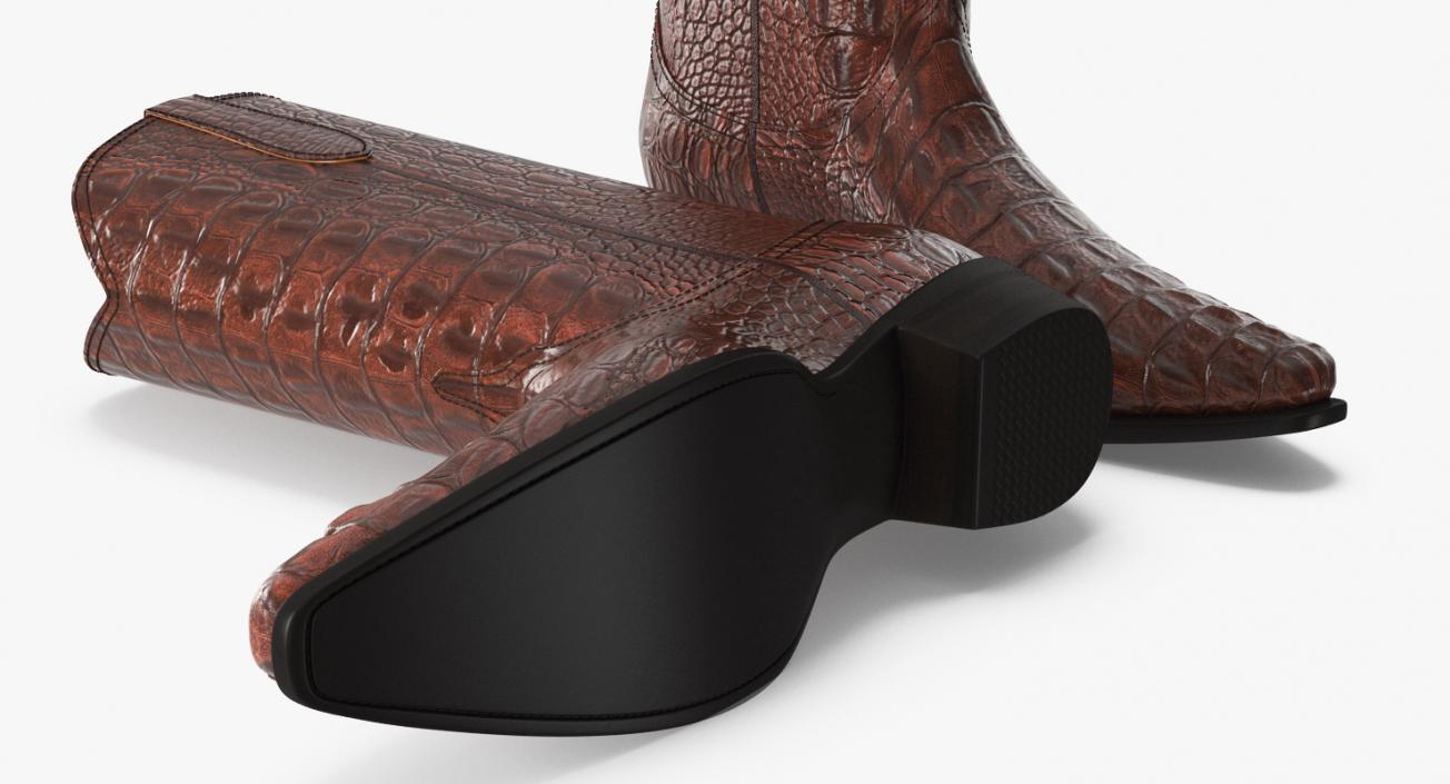 Crocodile Cowboy Boots 3D