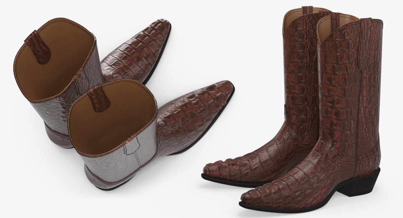 Crocodile Cowboy Boots 3D