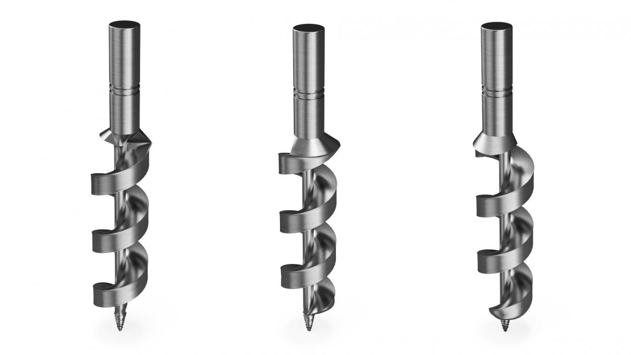 3D model Auger Drill Bit