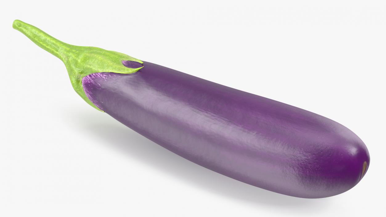 Japanese Purple Eggplant 3D model