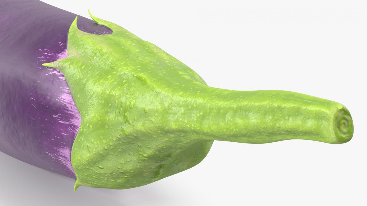 Japanese Purple Eggplant 3D model