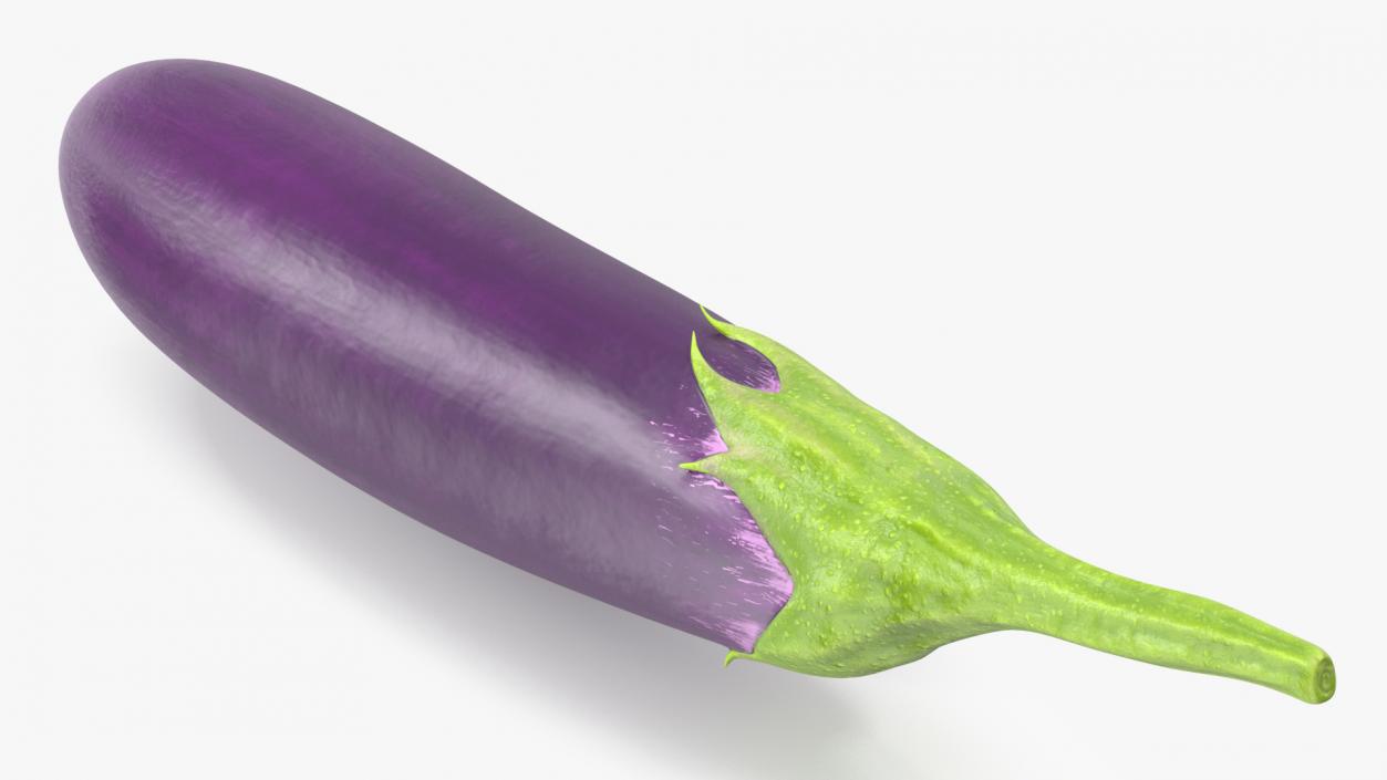 Japanese Purple Eggplant 3D model