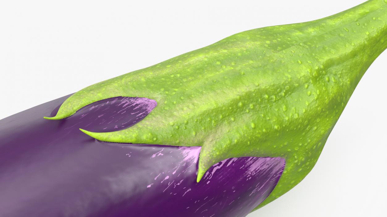 Japanese Purple Eggplant 3D model