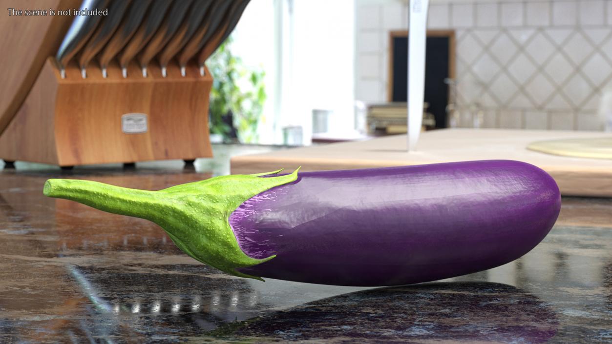 Japanese Purple Eggplant 3D model