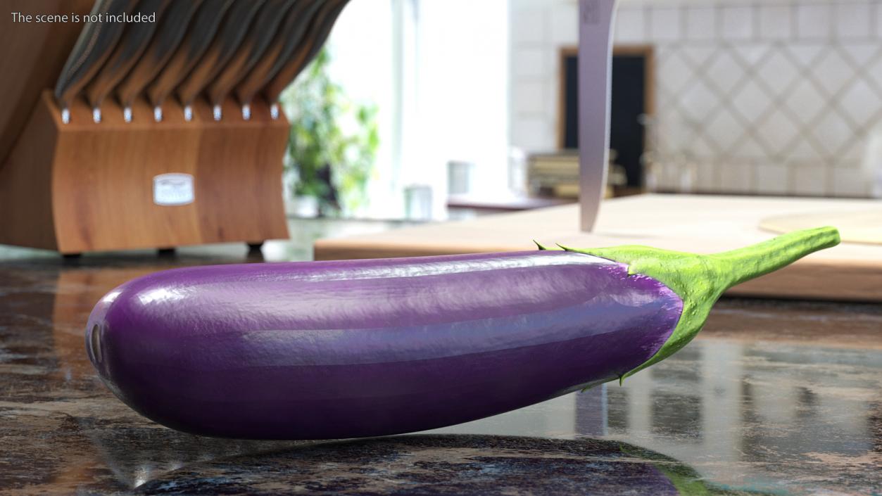 Japanese Purple Eggplant 3D model