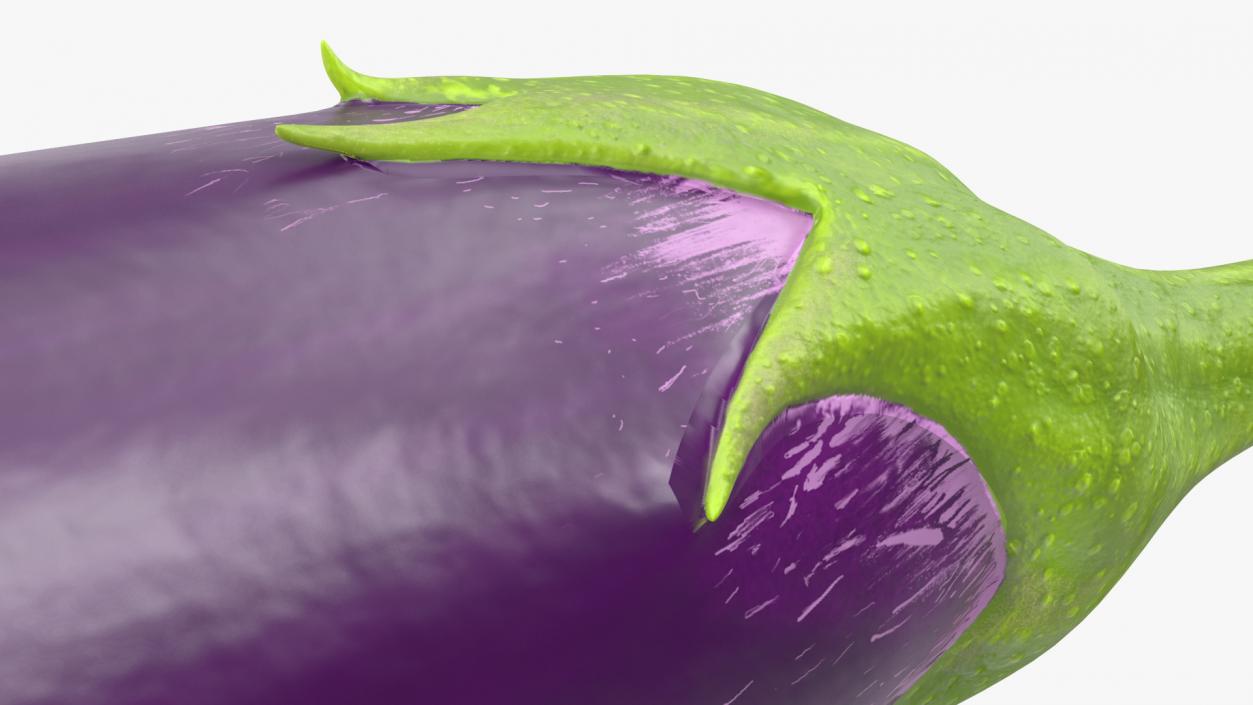 Japanese Purple Eggplant 3D model