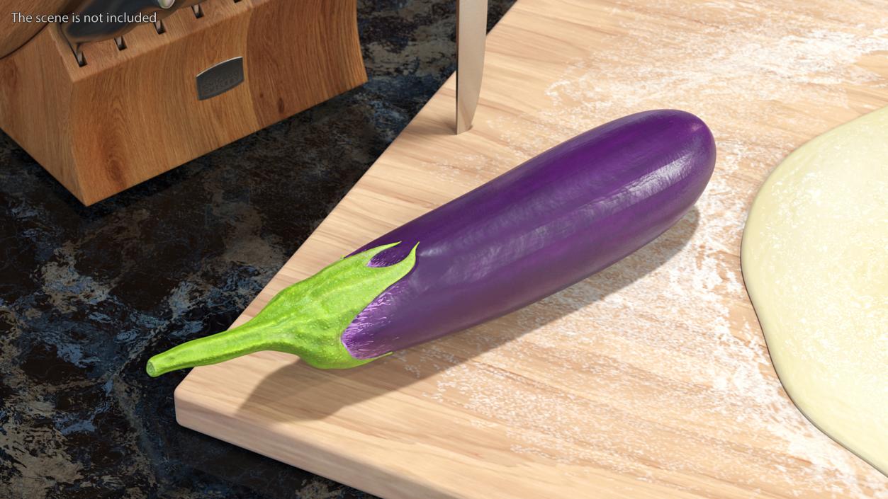 Japanese Purple Eggplant 3D model