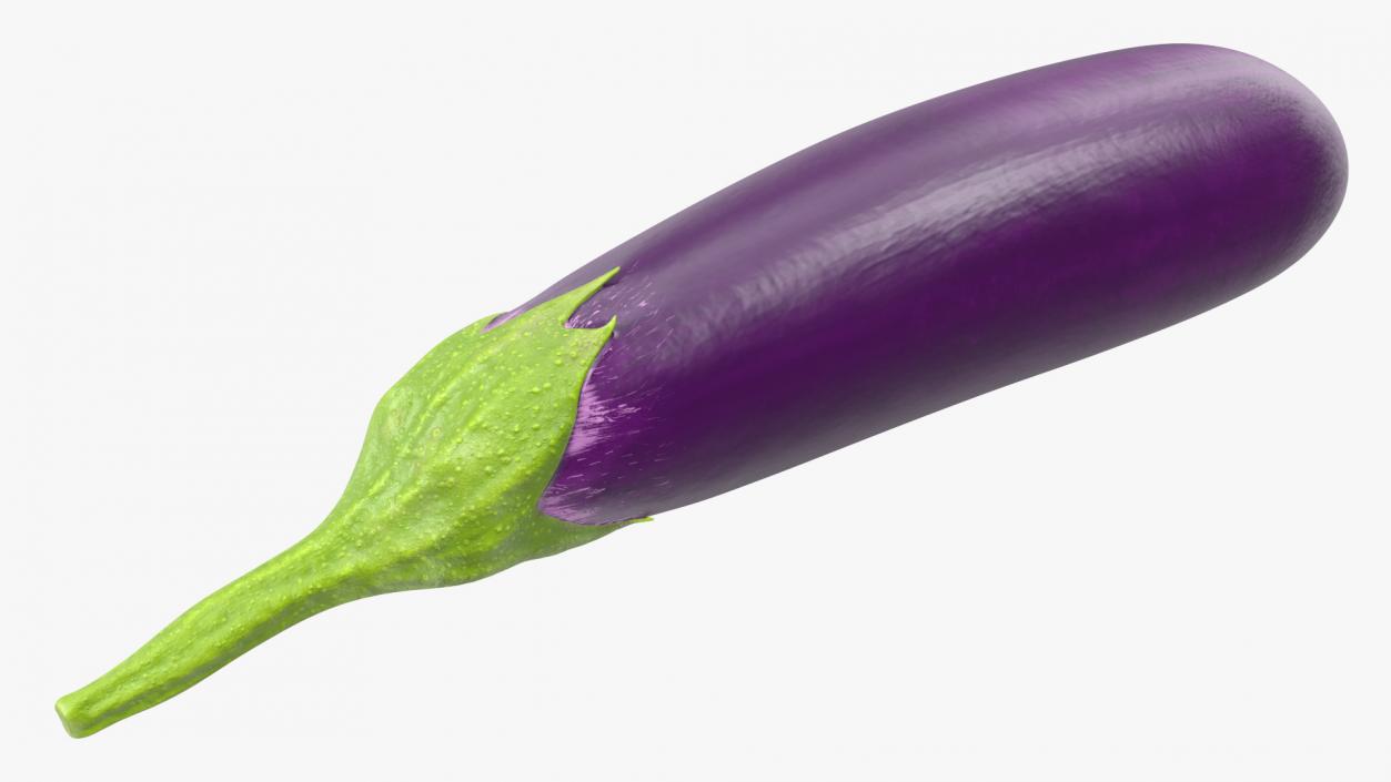 Japanese Purple Eggplant 3D model