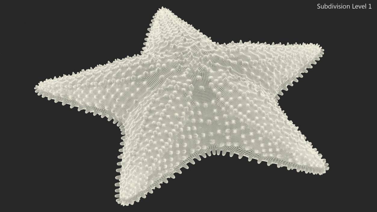 3D Starfish Dark model