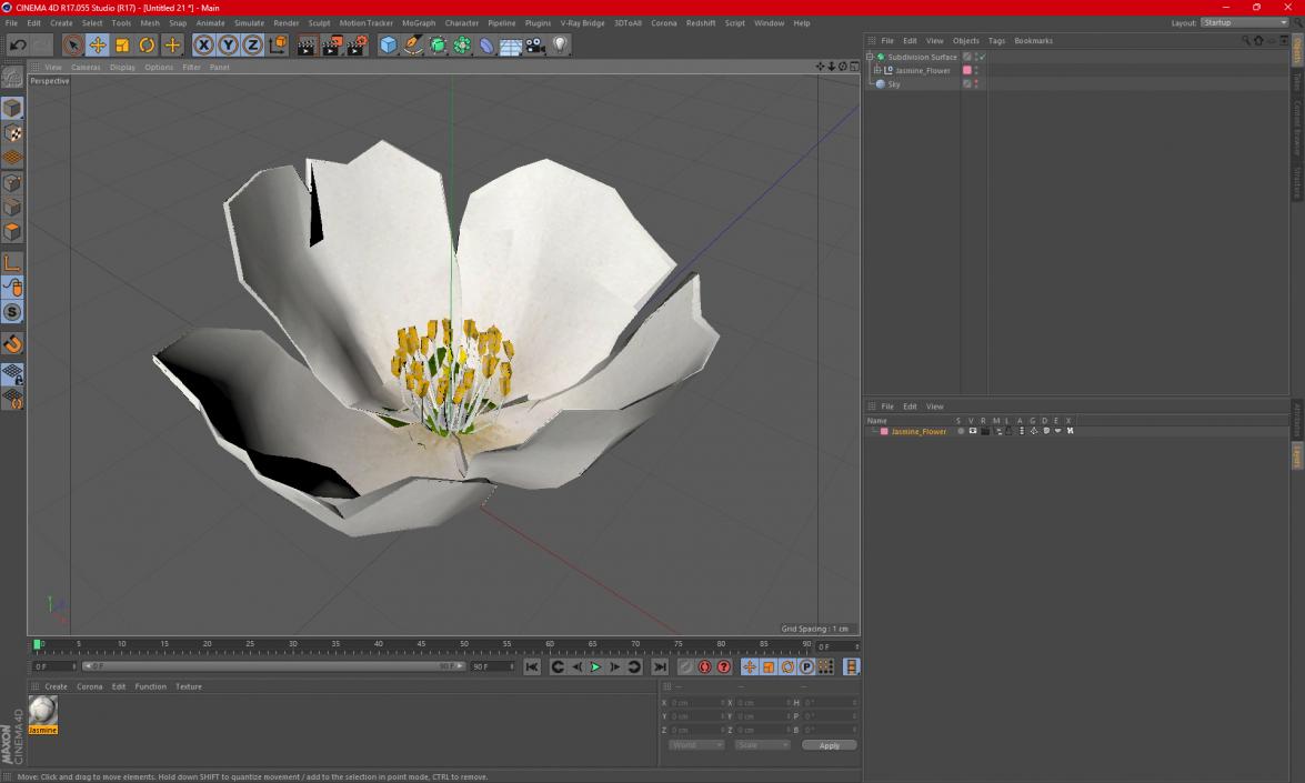 Jasmine Flower 3D model