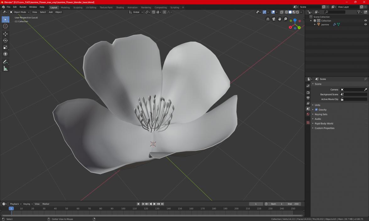 Jasmine Flower 3D model