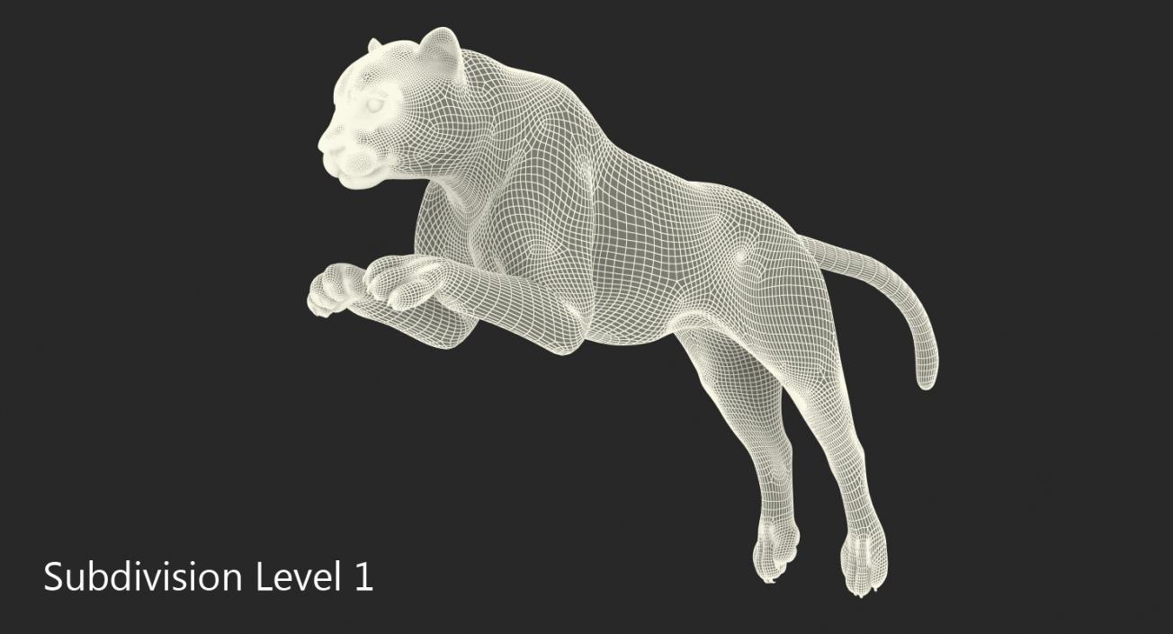 Panthera Uncia Jumping Pose 3D