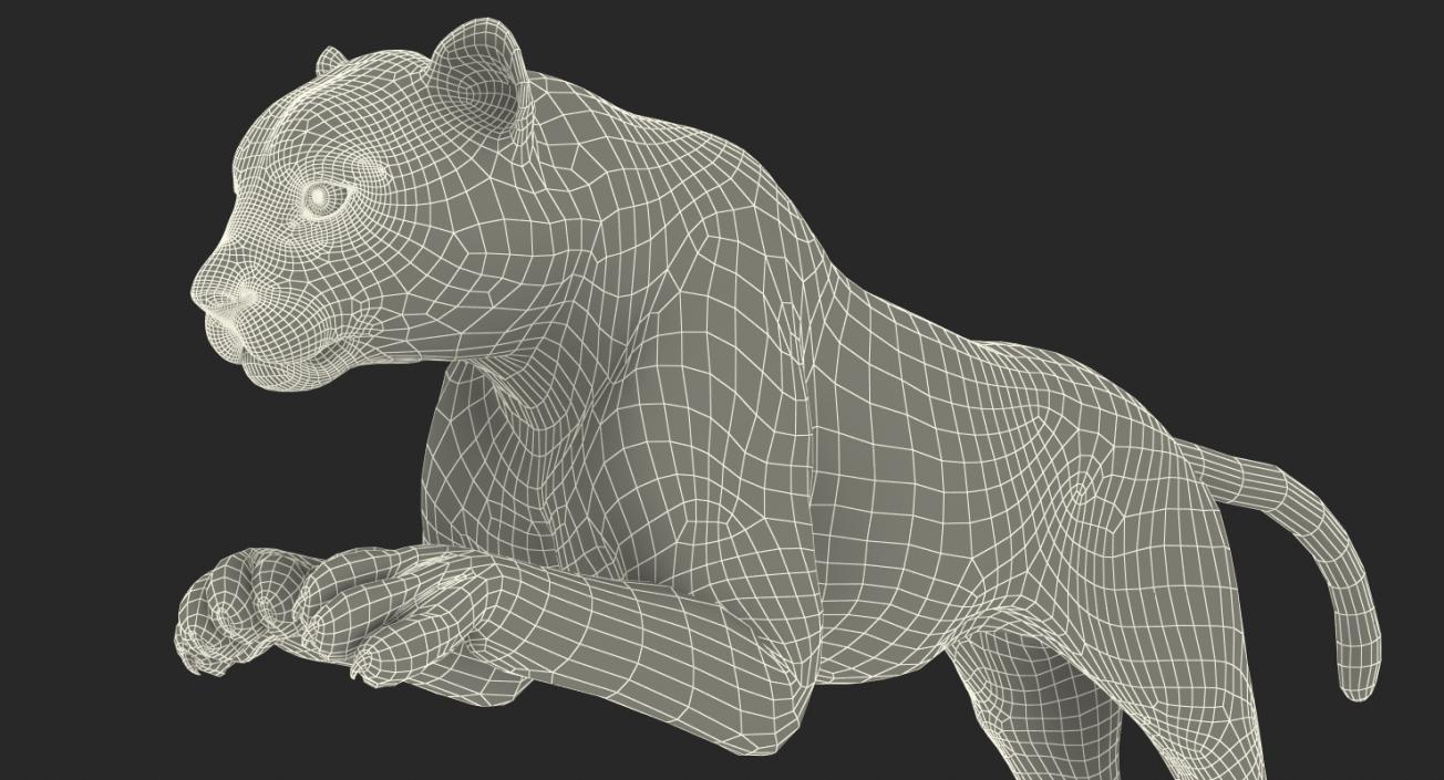 Panthera Uncia Jumping Pose 3D