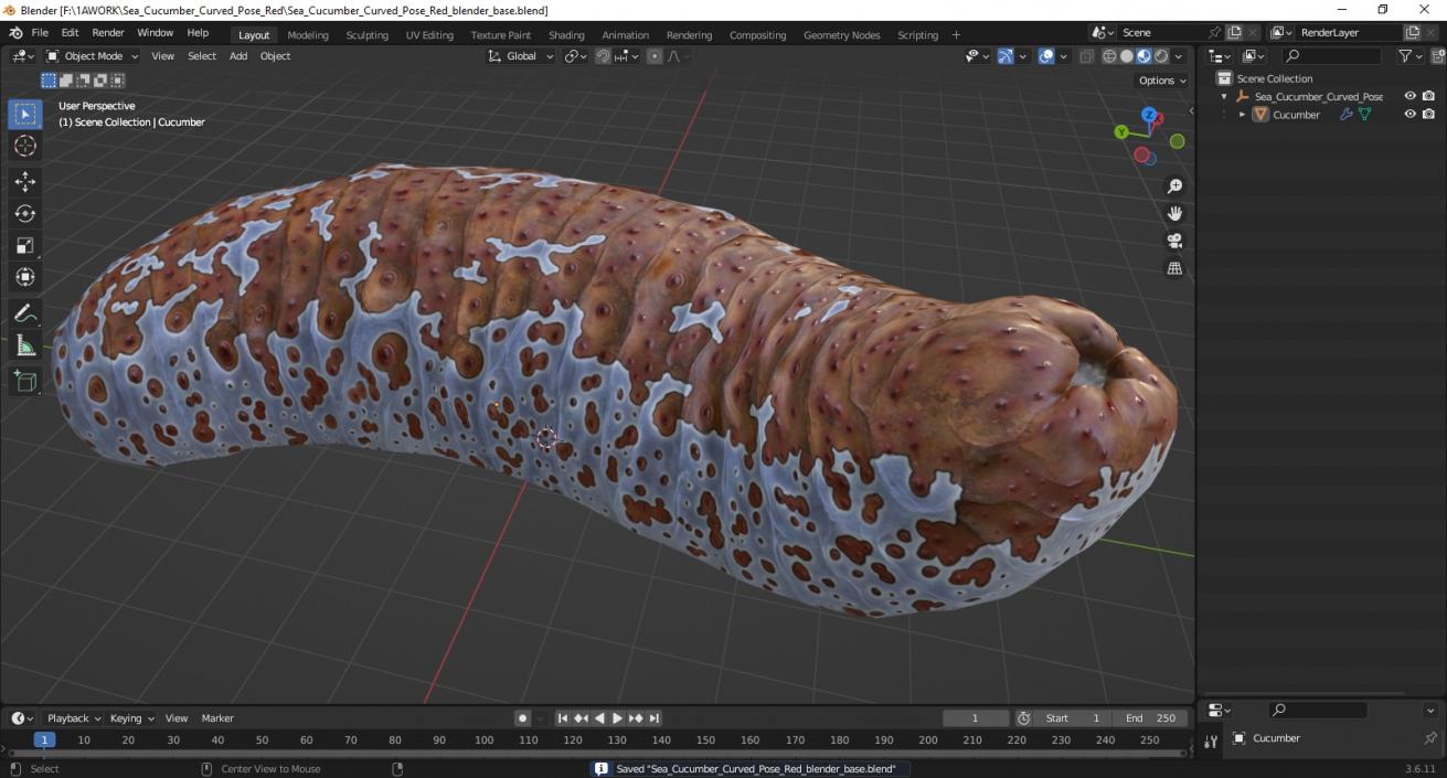 3D Sea Cucumber Curved Pose Red model