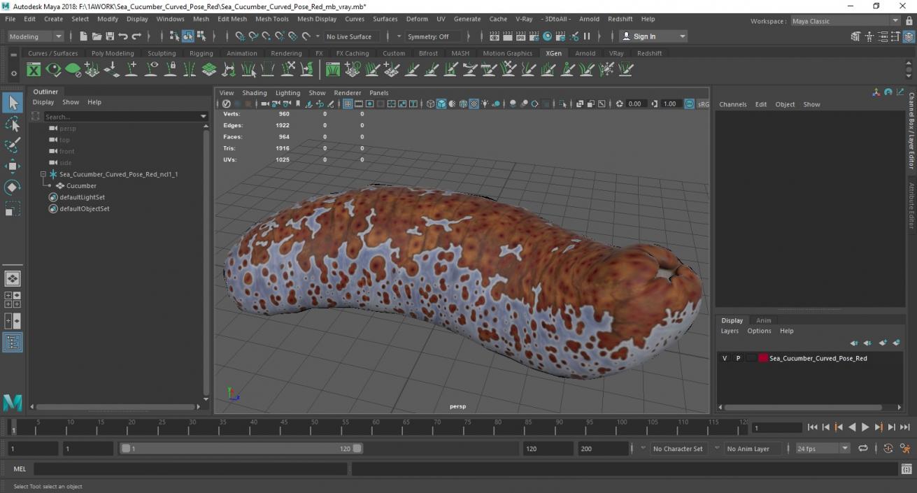 3D Sea Cucumber Curved Pose Red model