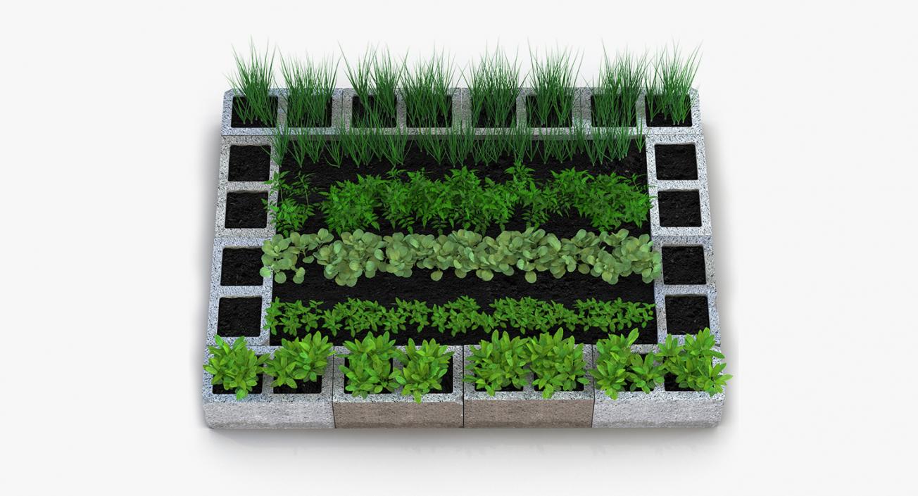 3D Vegetable Gardens Collection model