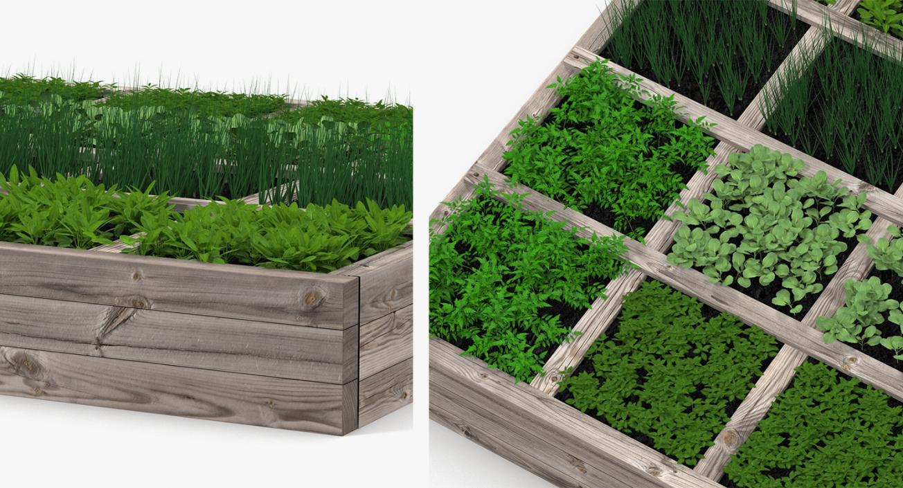 3D Vegetable Gardens Collection model