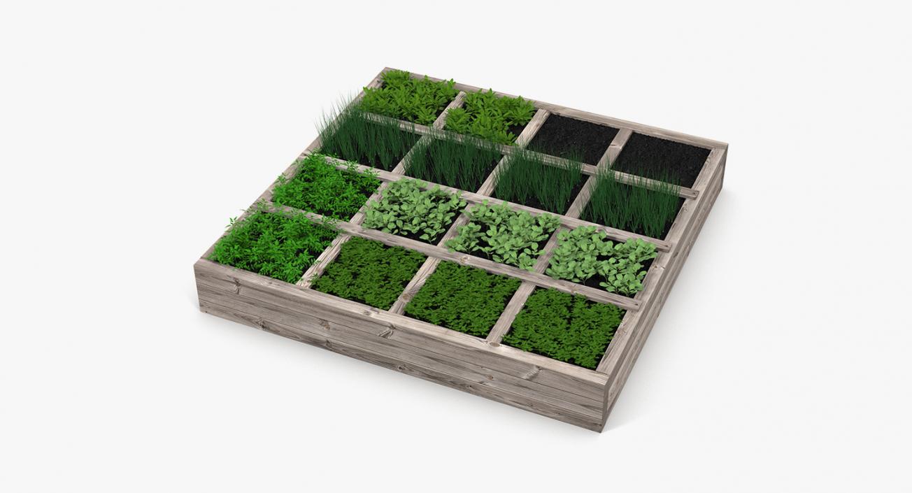 3D Vegetable Gardens Collection model