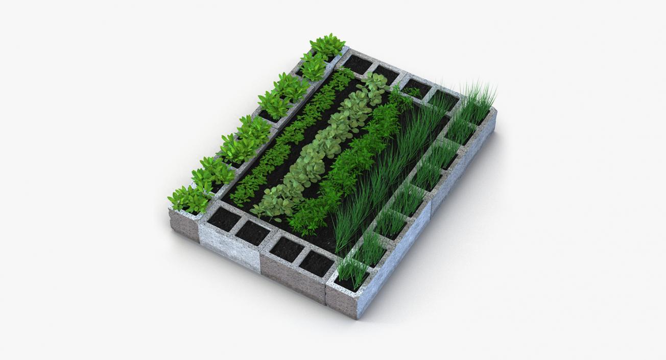 3D Vegetable Gardens Collection model