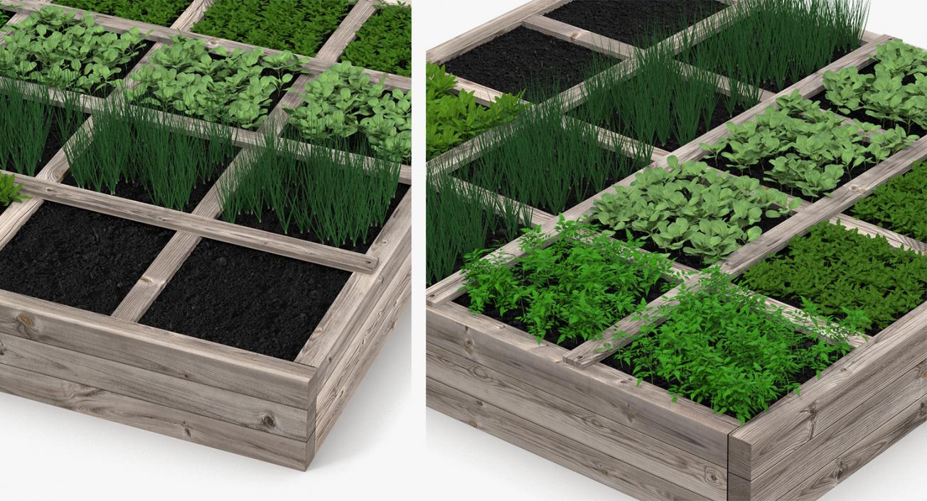 3D Vegetable Gardens Collection model