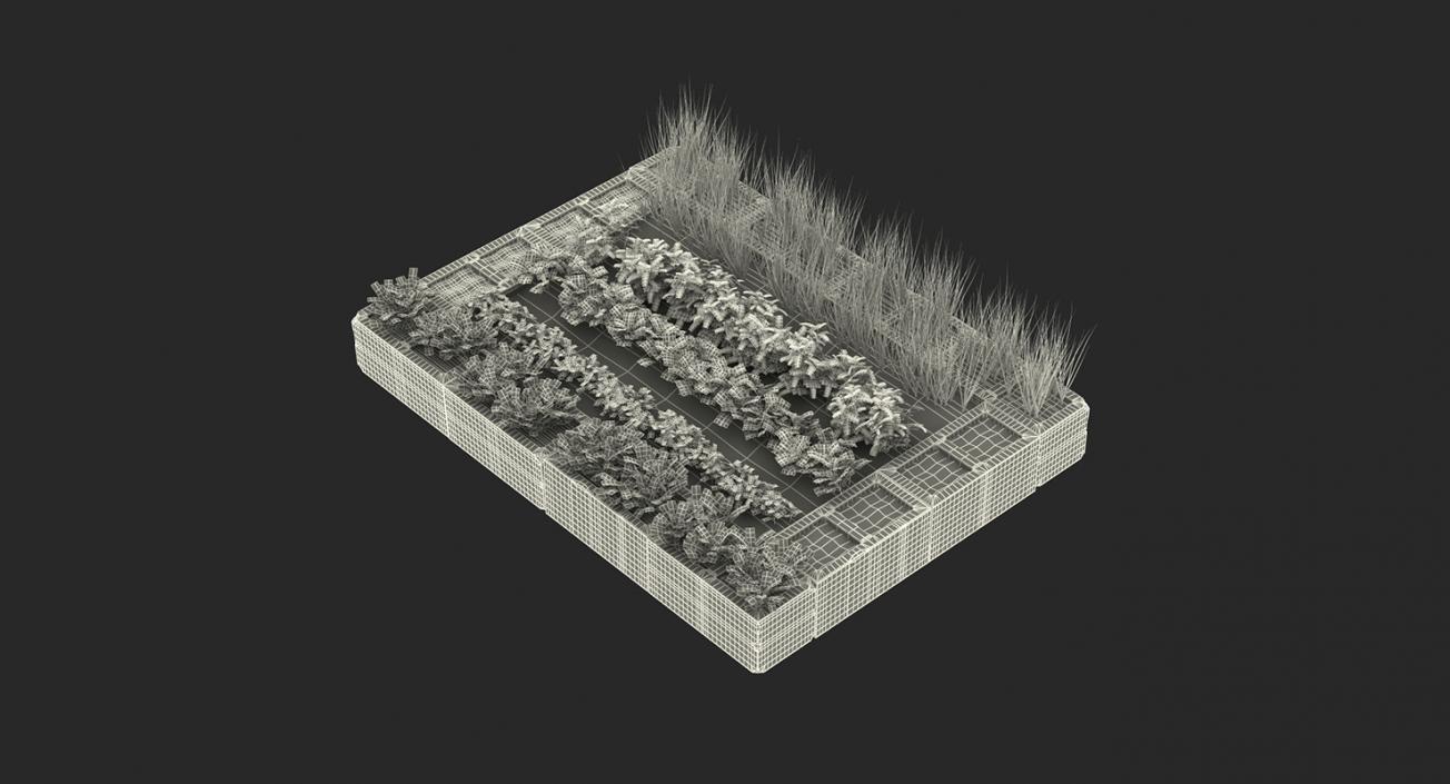 3D Vegetable Gardens Collection model