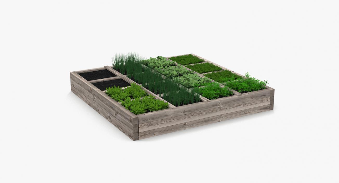 3D Vegetable Gardens Collection model