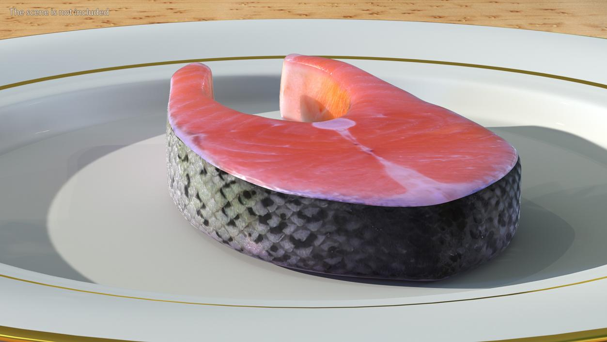 3D Raw Salmon Steak