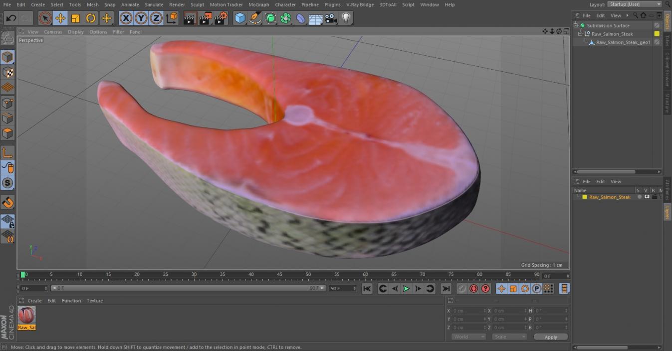 3D Raw Salmon Steak