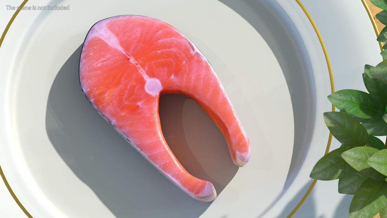 3D Raw Salmon Steak