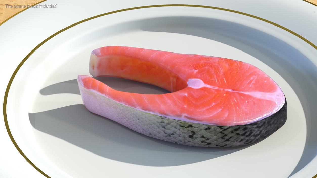 3D Raw Salmon Steak