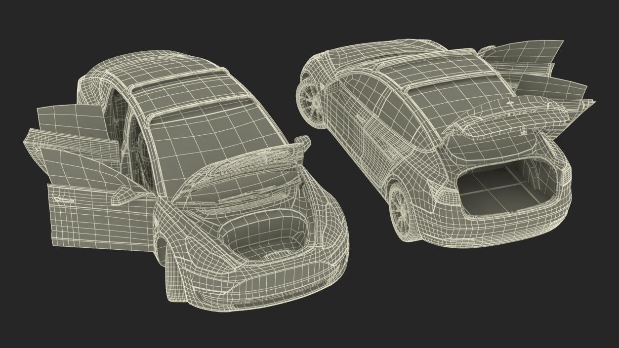 Tesla with Roof Rack Rigged 3D