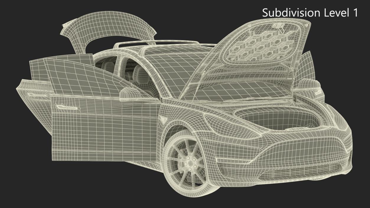 Tesla with Roof Rack Rigged 3D