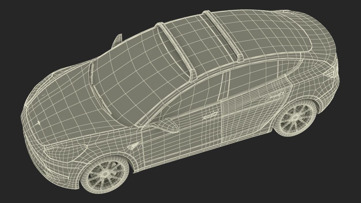 Tesla with Roof Rack Rigged 3D