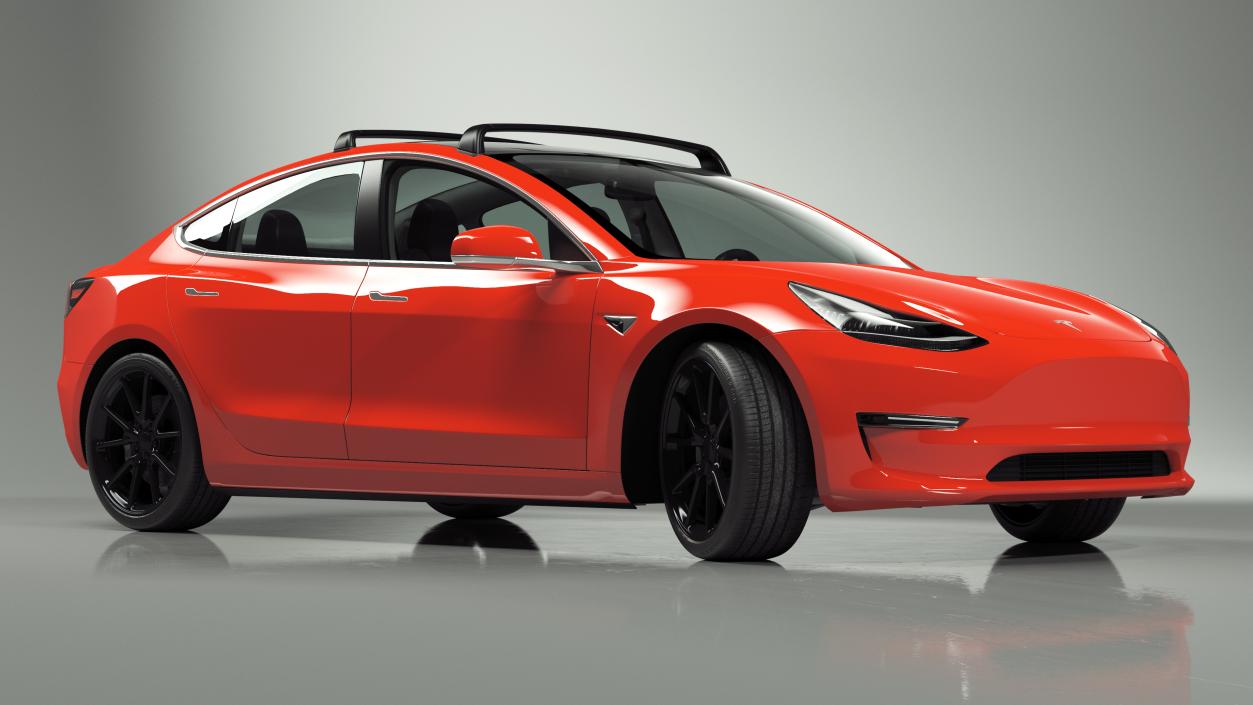 Tesla with Roof Rack Rigged 3D