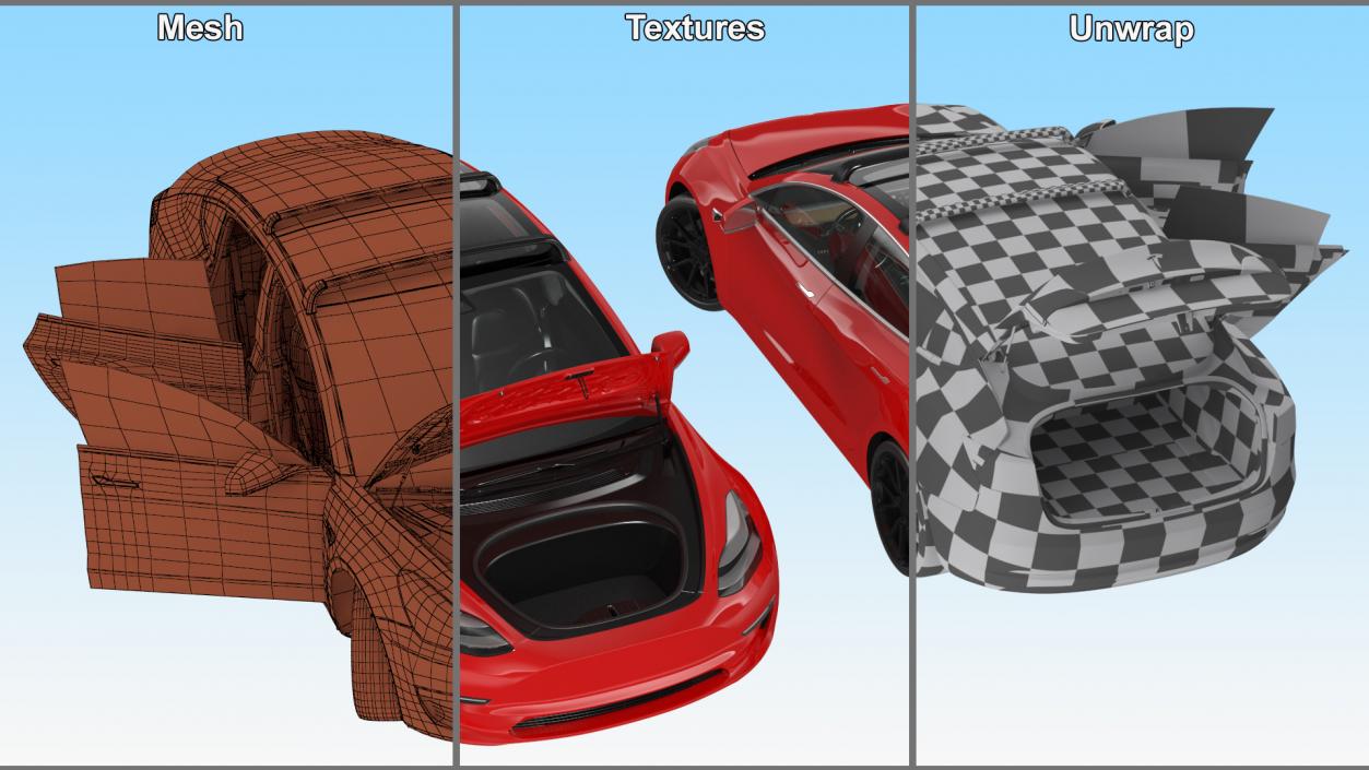 Tesla with Roof Rack Rigged 3D