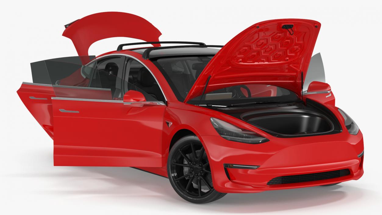 Tesla with Roof Rack Rigged 3D