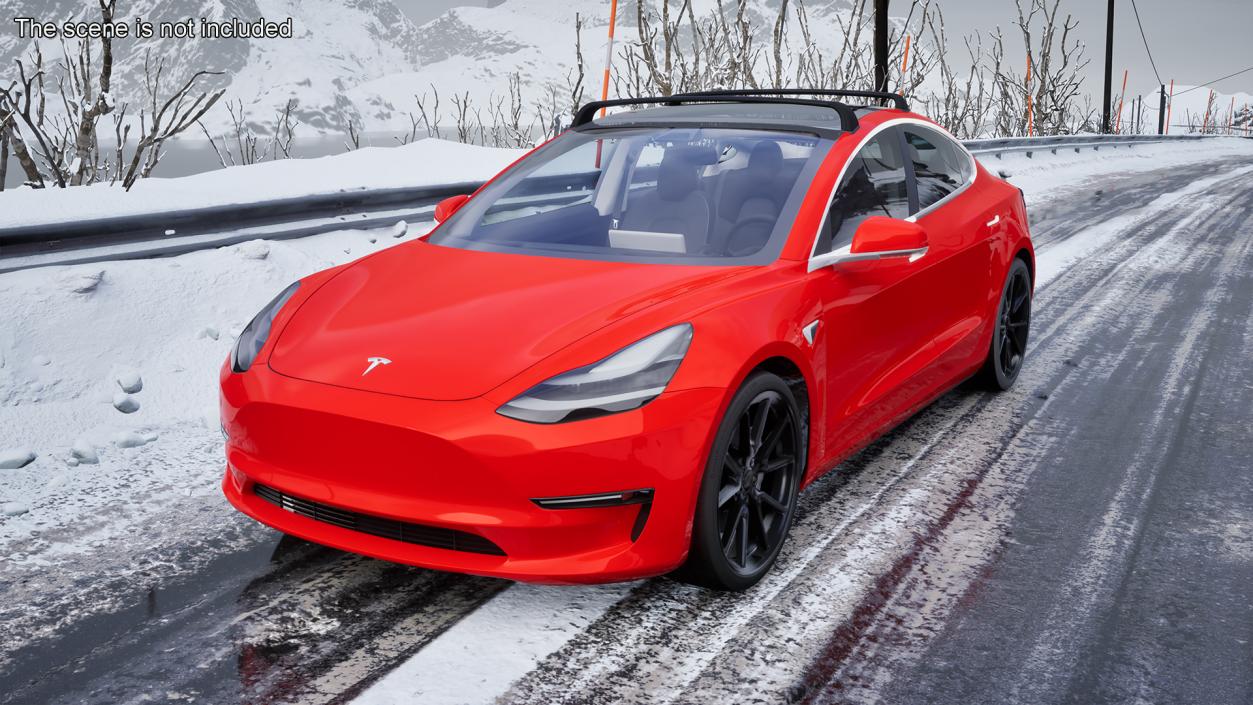 Tesla with Roof Rack Rigged 3D