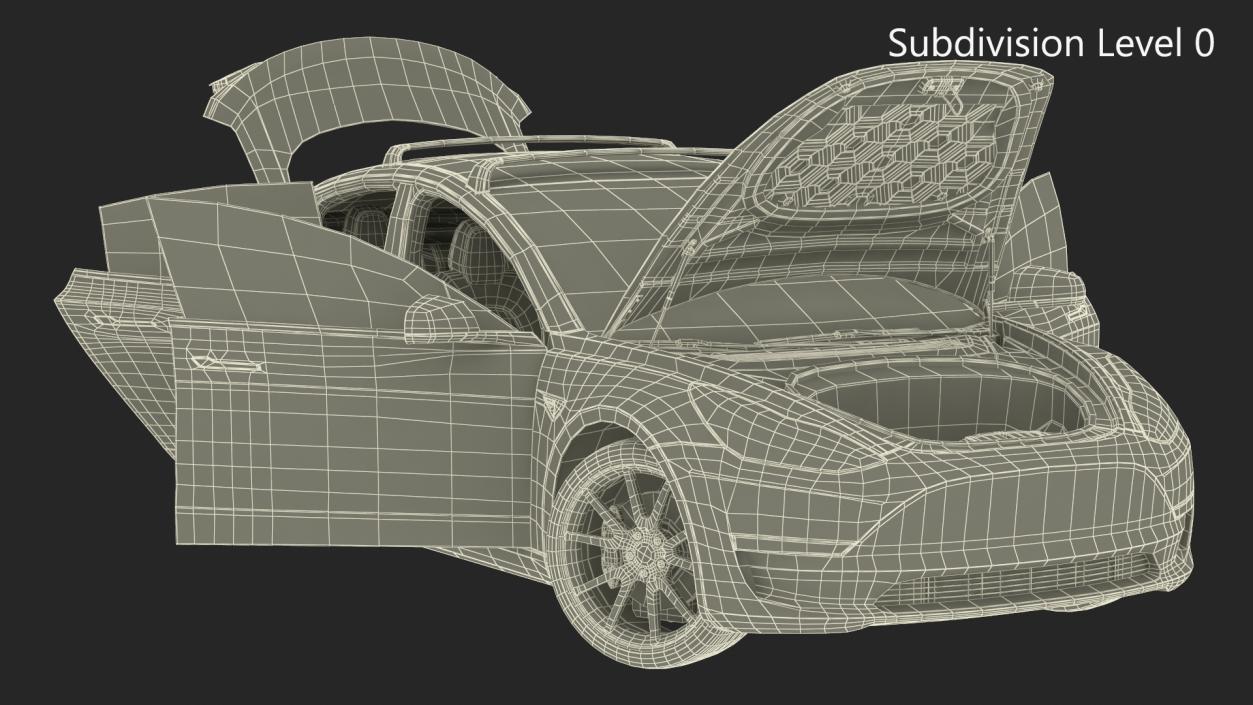 Tesla with Roof Rack Rigged 3D