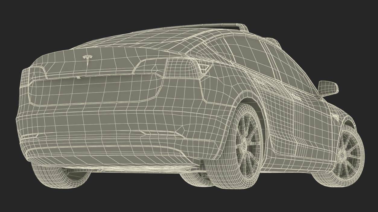 Tesla with Roof Rack Rigged 3D