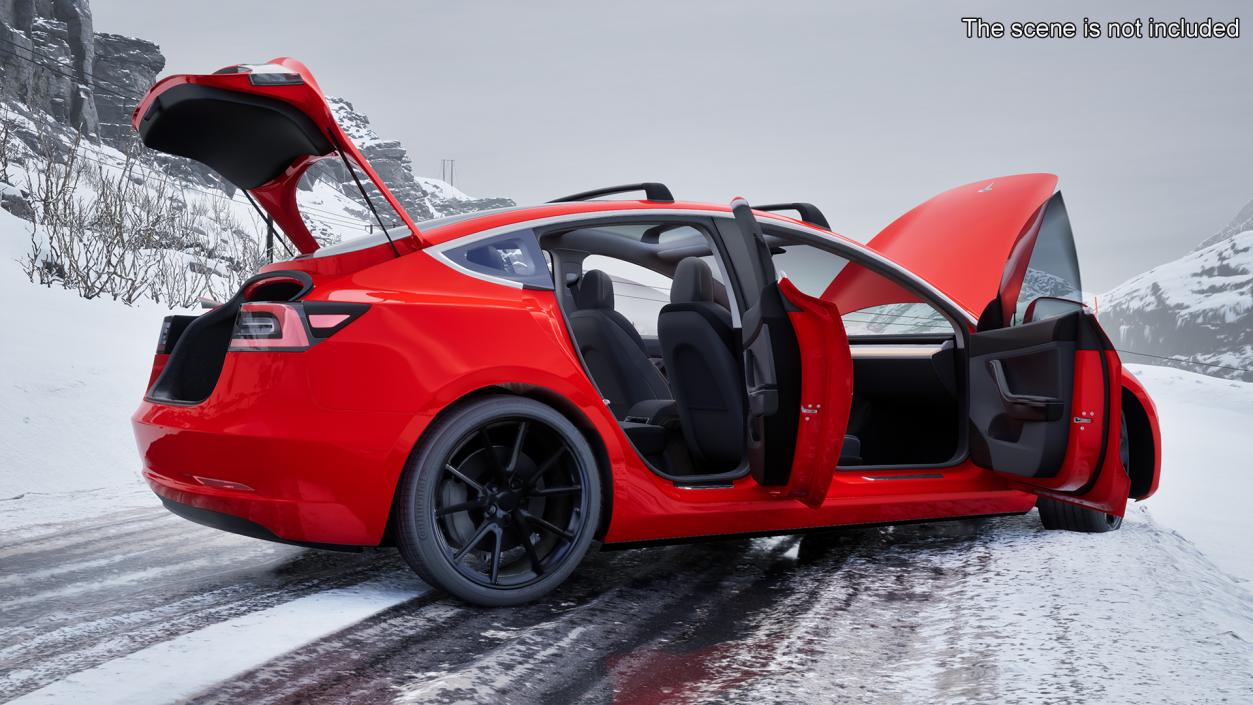 Tesla with Roof Rack Rigged 3D