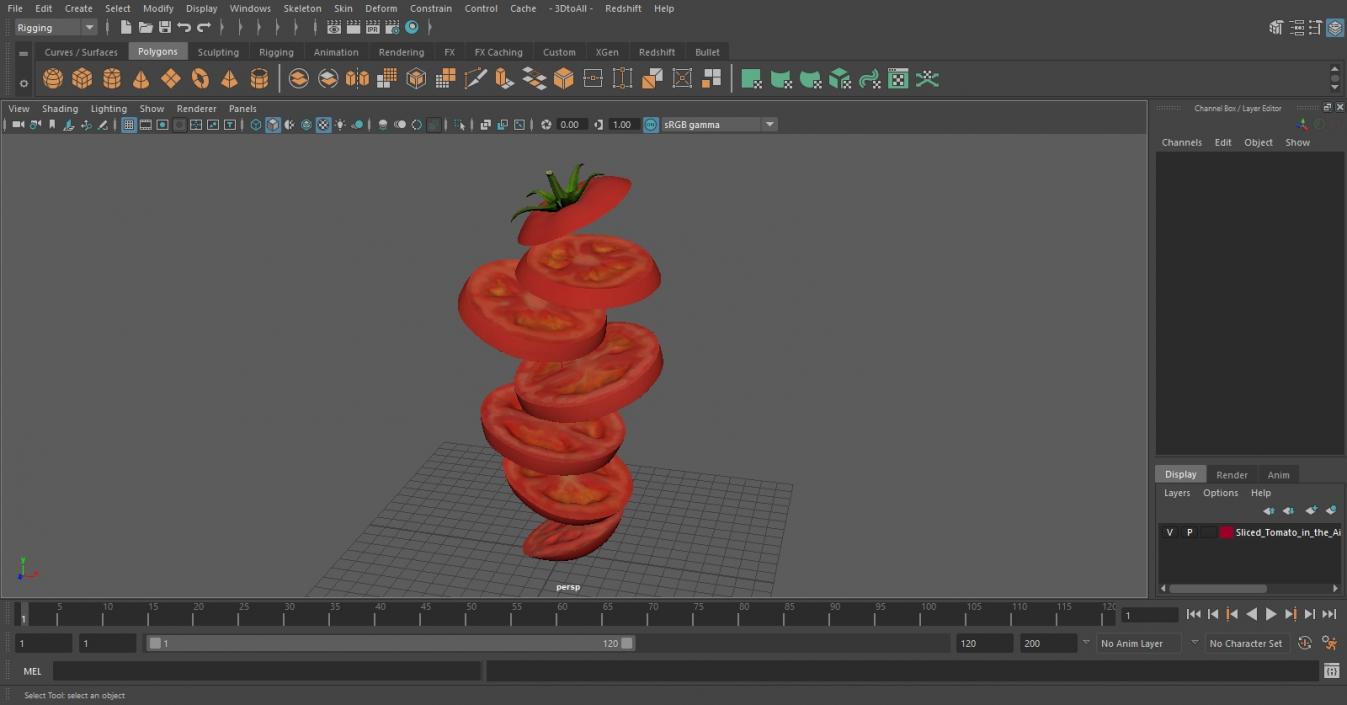 Sliced Tomato in the Air 3D model