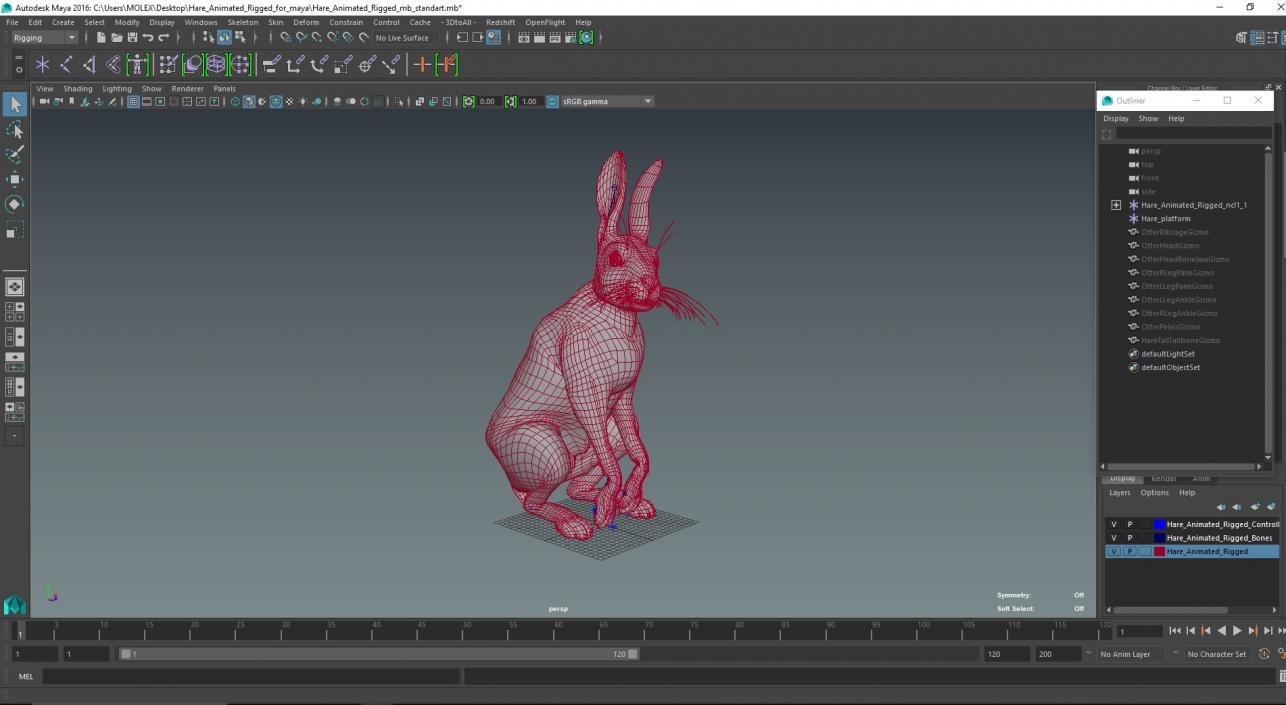 Hare  Animated Rigged for Maya 2 3D