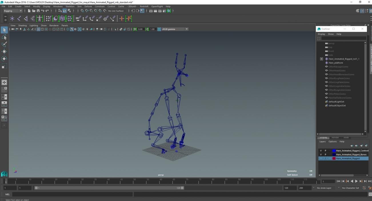 Hare  Animated Rigged for Maya 2 3D